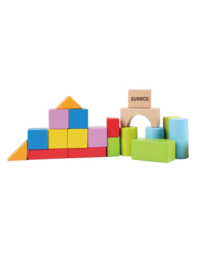 SUNWOD Building blocks for toddlers, early childhood education toys (20 pieces)